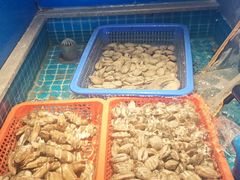 -鸽子侯·家宴·平价海鲜(市图书馆店)