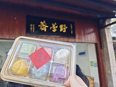 -野荸荠