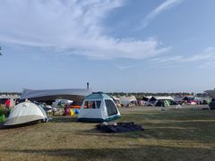 -春花秋色城市公园