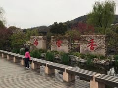 -香雪海