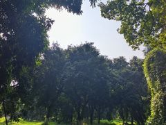 -张坝桂圆林公园