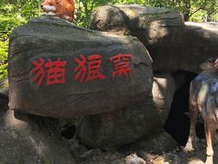 -茅兰沟国家森林公园
