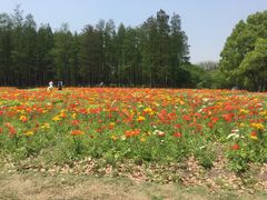 -共青国家森林公园-售票处