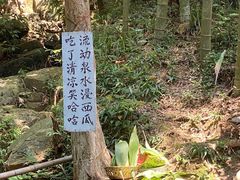 -莫干山风景区