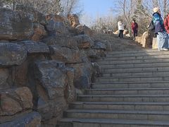 -青藏高原野生动物园