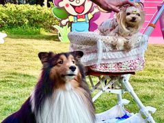 -上海神旺大酒店