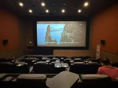 -华谊兄弟影院(IMAX洋桥店)