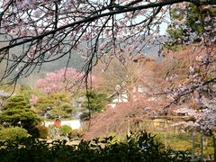 -醍醐寺