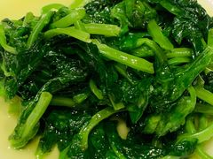 酒香豆苗-老吉士酒家(天平路店)