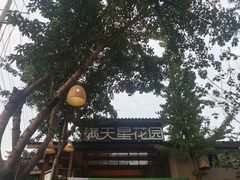 -满天星花园