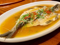-老江南春·中国龙菜(衡山路店)