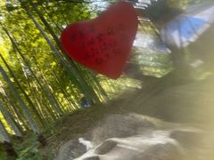 -将军关探险漂流