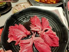 -园里火锅(仁和新城店)