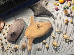 -浙江自然博物院(杭州馆)