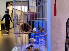 -悦融·京鲁菜·露台花园(安定门店)