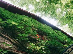 -上海孙中山故居纪念馆