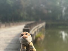 -西溪国家湿地公园