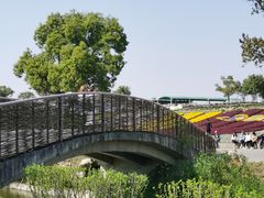 -上海杨姆庄园