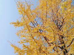 -食膳公园包子铺(烈士公园店)