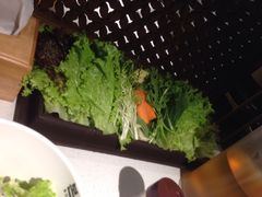 本家-本家韩国烤肉(青岛万象城店)