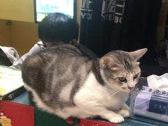 -谜盒子奇幻密室(南屏店)