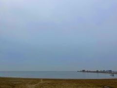 -合肥滨湖国家森林公园