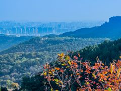 -北京西山国家森林公园