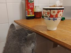 -春笙食堂.丼饭拉面寿司(GOGO新天地店)