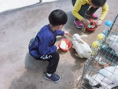 -前小桔亲子创意农场·草莓采摘·露营烧烤