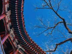 -颐和园
