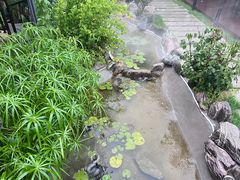 -蘇河湾·新鲁菜·泰山宴(泰山店)