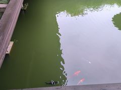 -陈武帝故宫