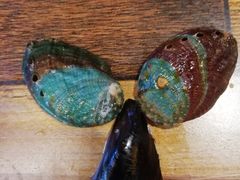 -大城·烧烤海鲜大排档(台东店)