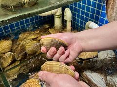 -烧货·活海鲜炭烧(湖滨商业街店)