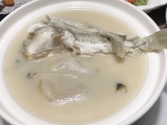 养颜白汁河豚-肆月河豚·新淮扬(金融街店)