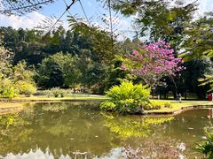 -中国科学院西双版纳热带植物园