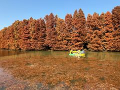 -上海海湾国家森林公园