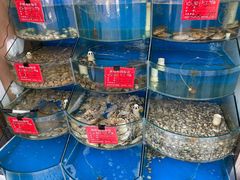 -北戴河庆山饭店·海鲜砂锅粥(北戴河黑石路店)