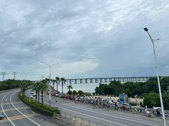 -宝安西湾红树林湿地公园