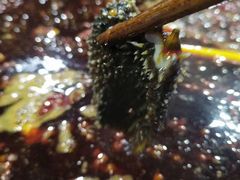 -星鸿社重庆老火锅