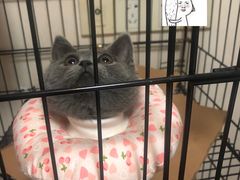 -佳雯宠物医院(四明中路分院)