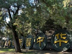 -黄帝陵