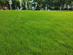 -重庆市江北嘴中央商务区中央公园