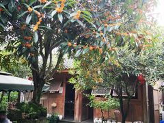 -青城甲(青城山店)