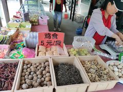 -第五季龙水凤港生态露营农场