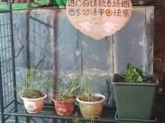-鱼乐岛餐厅·户外花园主题餐厅
