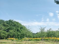 -宜兴龙背山森林公园