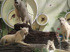 -陕西自然博物馆