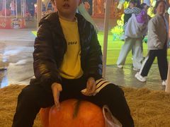 -郑州方特梦幻王国