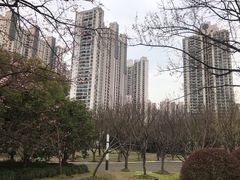 -苏州河梦清园环保主题公园